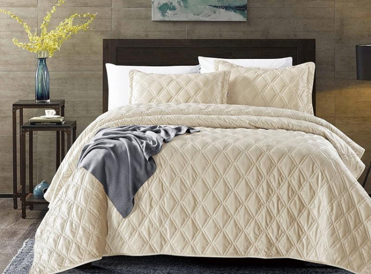 Покрывало с наволочками тонкое велюровое TANGO BACCARA BAC-06 240х260