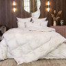Одеяло кассетное GERMAN GRASS SILVER DOWN GRASS 220х240 всесезонное
