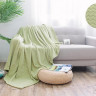 Плед из велсофта АЛЬВИТЕК SOFT PLUSH 013-SP 150х200