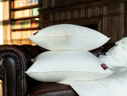 Подушка GERMAN GRASS LUXE DOWN GRASS 50х68 средняя