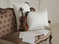 Подушка из элитного белого гусиного пуха ANNA FLAUM HERBST KOLLEKTION 50х70 мягкая