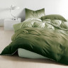 Постельное белье из микросатина TANGO градиент зеленый 70х70 (2шт) 2-спальное