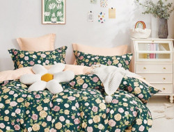 Постельное белье из твила TANGO TPIG-1839 50х70 (2шт), 70х70 (2шт) евро