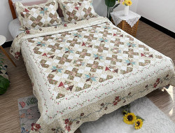 Покрывало с наволочками хлопковое TANGO PATCHWORK PW333-223 230х250