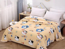 Плед из микрофибры TANGO ФЛАНЕЛЬ VAR-518 150х200