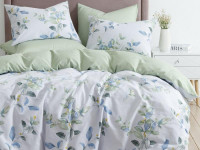 Постельное белье двухстороннее из твил-сатина SAILID BP-171-3 евро