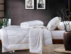 Одеяло из тенсела ASABELLA T-3 200х220 легкое