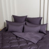Постельное белье GERMAN GRASS VIOLET BRILLIANT GRASS 50х70 (2шт) евро