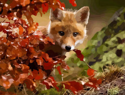 Набор для раскрашивания по номерам на холсте ФРЕЯ PNB-1 №50 Хитрый лисенок40х50 см