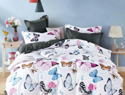 Постельное белье из микросатина TANGO DREAM FLY DF-334-70 70х70 (2шт) 2-спальное