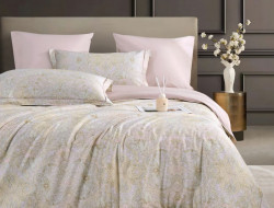 Постельное белье из египетского хлопка Premium ASABELLA 2182-6 50х70 (2шт) и 70х70 (2шт) евро