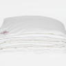 Одеяло GERMAN GRASS ALLIANCE DOWN Light and CASHMERE GRASS двойное 150х200