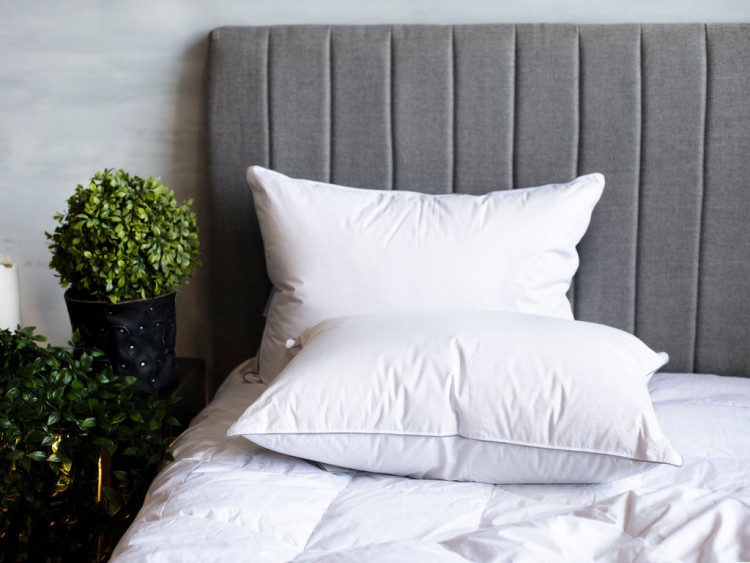 Подушка классическая с кантом GERMAN GRASS GRAY FAMILIE DOWN 50х68 средняя