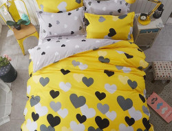 Постельное белье из микросатина TANGO DF-115-70 DREAM FLY 70х70 (2шт) 2-спальное