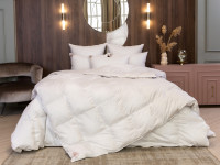 Одеяло пуховое кассетное GERMAN GRASS SILVER DOWN GRASS всесезонное Light 160х220