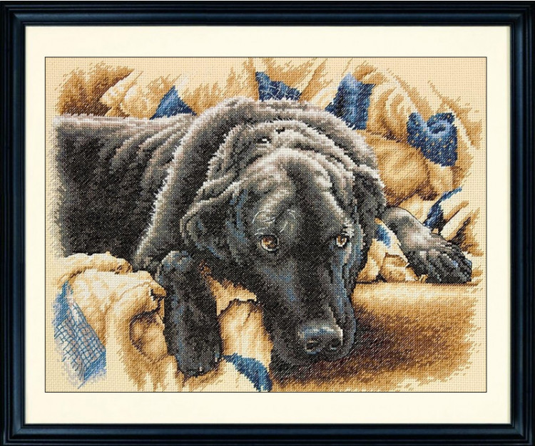 Набор для вышивания DIMENSIONS 70-35321 Запретные удовольствия 27,9x35,5 см