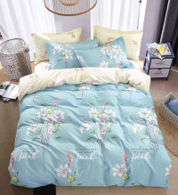 Постельное белье двухстороннее из твила TANGO TPIG5-1296 50х70 (2шт) семейное