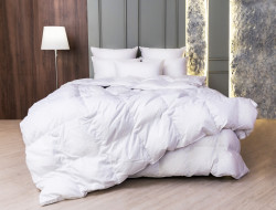 Одеяло кассетное GERMAN GRASS WHITE FAMILIE DOWN 160х220 всесезонное