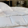 Одеяло кассетное GERMAN GRASS WHITE FAMILIE DOWN 160х220 всесезонное