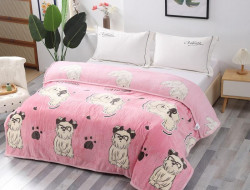 Плед из микрофибры TANGO ФЛАНЕЛЬ РАСМАННИ 200х220