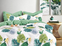 Постельное белье из твила TANGO ферна 70х70 (2шт) семейное
