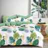 Постельное белье из твила TANGO ферна 70х70 (2шт) семейное