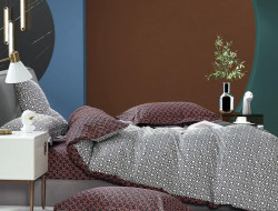 Постельное белье из сатина TANGO TS04-X255 50х70 (2шт), 70х70 (2шт) евро