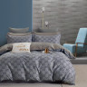 Постельное белье из твила в ПВХ TANGO гренис 50х70 (2шт) евро