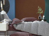 Постельное белье из сатина TANGO TS02-X255-70 70х70 (2шт) 2-спальное