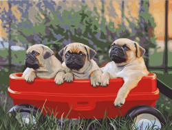 Набор для раскрашивания по номерам ФРЕЯ PNB/R2 №08 Мопсы 40х30 см