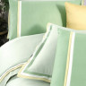 Постельное белье из сатина де люкс SAREV SPORT CHIC 500TC N309 MINSK V6-YESIL-SARI 50х70 (4шт), 40х40 (1шт) евро