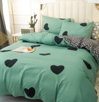 Постельное белье из микросатина TANGO DREAM FLY DF-218-50 50х70 (2шт) 2-спальное