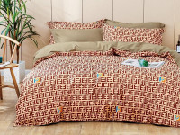 Постельное белье из сатина АЛЬВИТЕК CA-7-074 50х70 (2шт), 70х70 (2шт) семейное