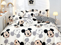 Постельное белье из сатина TANGO TS02-X270-70 70х70 (2шт) 2-спальное