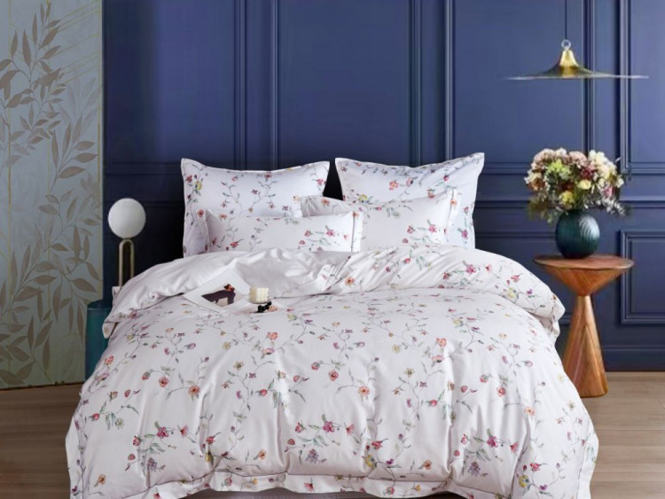 Постельное белье из египетского хлопка Premium ASABELLA Нежные мечты 50х70 (2шт) и 70х70 (2шт) семейное