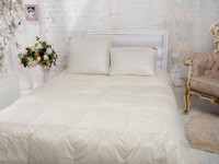 Одеяло пуховое Легкие Сны ТЕССА 140х205 всесезонное