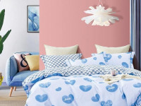 Постельное белье двухстороннее из твила TANGO TPIG-1693 50х70 (2шт), 70х70 (2шт) евро