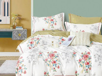 Постельное белье из твила TANGO TPIG6-1868 50х70 (2шт), 70х70 (2шт) евро