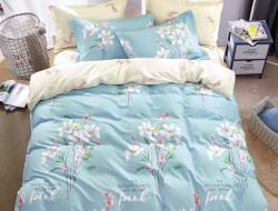 Постельное белье из твила TANGO TPIG-1296-70 70х70 (2шт) 2-спальное