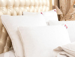 Подушка пуховая в тике Легкие Сны КАМИЛЛА 68х68х4 мягкая