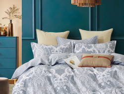 Постельное белье из твил-сатина в ПВХ TANGO сайпиро 50х70 (2шт) евро