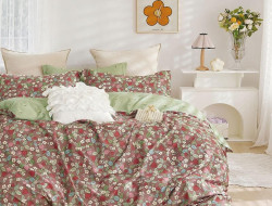 Постельное белье из твила TANGO TPIG6-1836 50х70 (2шт), 70х70 (2шт) евро