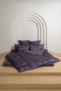 Постельное белье с простыней на резинке 160х200 GERMAN GRASS VIOLET BRILLIANT GRASS 50х70 (2шт) евро